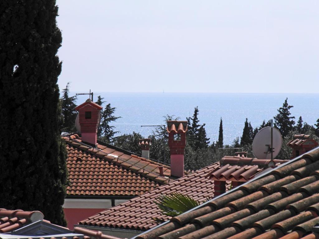 Apartments Link Rovinj Værelse billede
